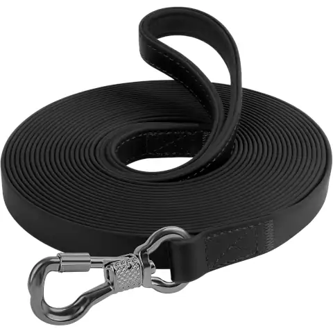 30ftLeash01