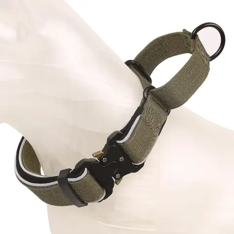DogCollar